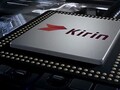 Kirin 9010