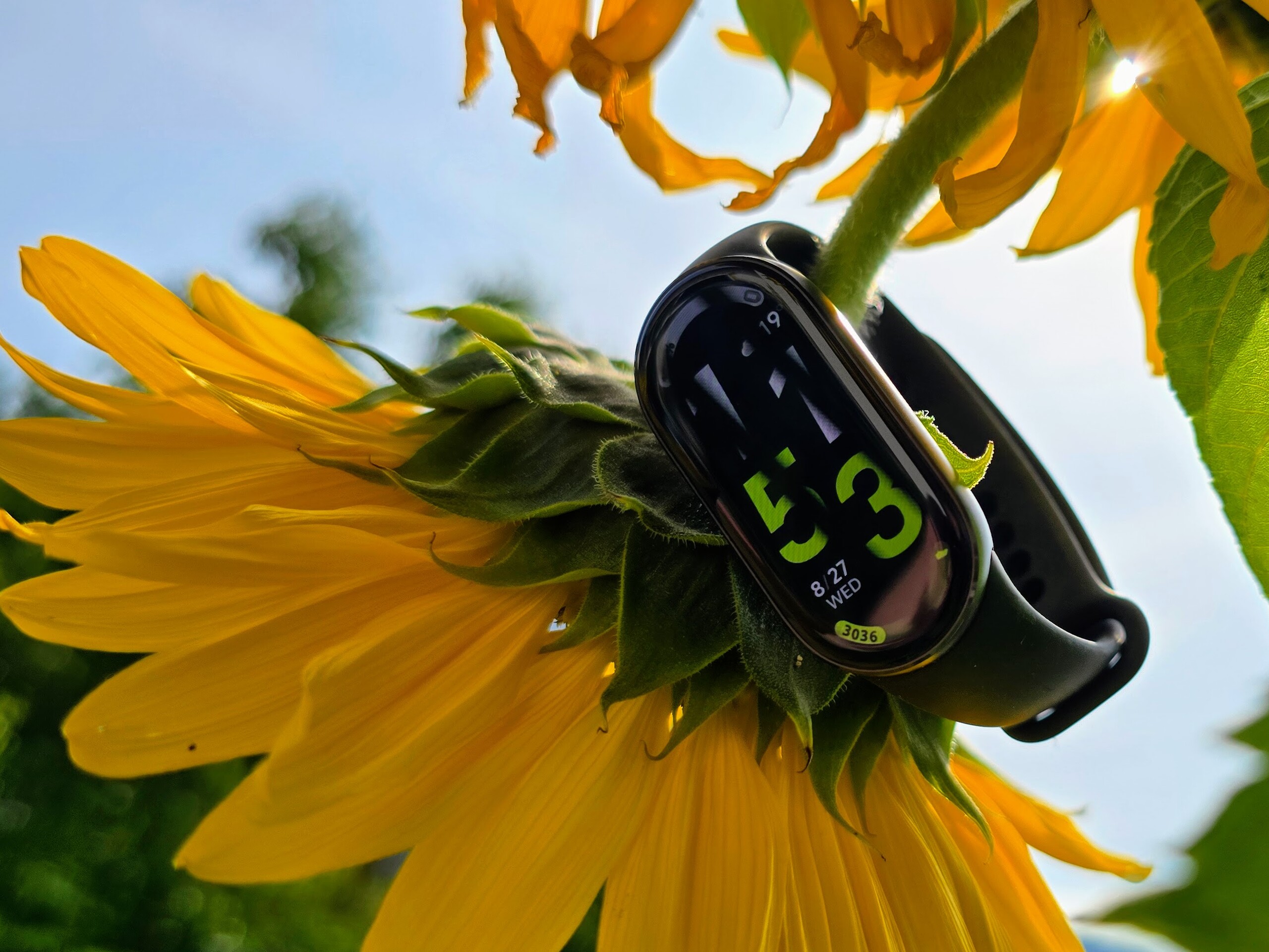 В тесте: Xiaomi Smart Band 10