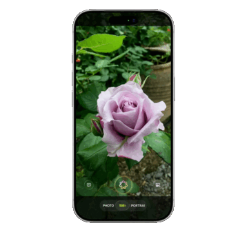 Siri впервые будет встроена в приложение