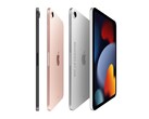 Концепт iPad mini с 8.3-дюймовым дисплеем (Изображение: Ian Zelbo)