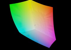 Acer Predator Helios Neo 16S AI против sRGB