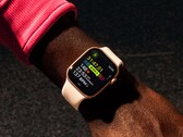 Время автономной работы Apple Watch Series 11 вряд ли будет намного больше, чем у Series 10. (Источник изображения: Apple)