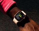 Время автономной работы Apple Watch Series 11 вряд ли будет намного больше, чем у Series 10. (Источник изображения: Apple)