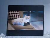 Считается, что Vivo X Fold5 будет хорошо работать с часами Apple Watch, а также с iPhone, MacBook и iCloud. (Источник изображения: Vivo)