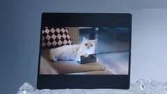 Считается, что Vivo X Fold5 будет хорошо работать с часами Apple Watch, а также с iPhone, MacBook и iCloud. (Источник изображения: Vivo)