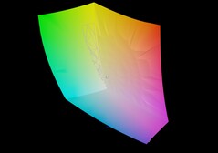MSI Katana 17 HX против sRGB