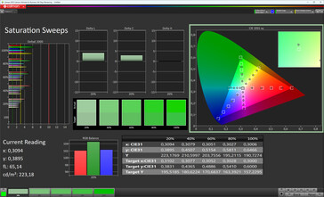 Насыщенность цвета (режим отображения Vivid, цветовая температура Warm +1, целевое цветовое пространство sRGB)