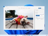 В сентябрьском обновлении для Windows 11 Microsoft добавила множество функций с ИИ (Изображение: Microsoft)