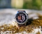Символическое обозначение — модели Garmin Fenix 9 и Enduro 4 могут появиться в продаже в ближайшее время