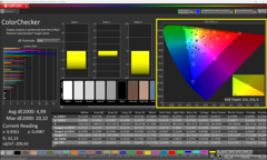 Calman ColorChecker