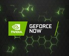 GeForce Теперь логотип (Источник изображения: Nvidia)