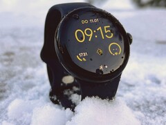 Часы Pixel Watch 2 получили новое обновление. (Источник изображения: Бенедикт Винкель)
