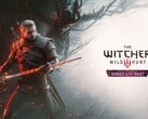 Официальный арт обложки для расширения The Witcher 3: Songs of the Past.