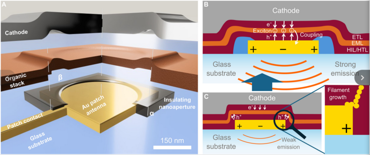 (Источник изображения: Science.org)