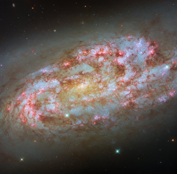 Изображение NGC 1792, полученное Хабблом (Источник изображения: ESA/Hubble, NASA, Д. Тилкер, Ф. Бельфиоре, Дж. Ли и команда PHANGS-HST)