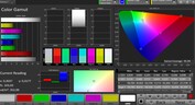 CalMAN Color Space DCI P3 – Адаптивный