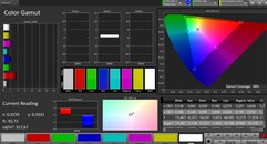 CalMAN sRGB color space – Натуральный