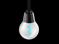 Светильники Govee Outdoor Filament String Lights (на фото) уже в пути. (Источник изображения: Govee)