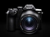 Камера Sony RX10 V оснащена 25-кратным оптическим зумом.