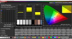 CalMAN ColorChecker (после калибровки)