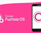 Google Fuchsia OС – новый эксперимент, но не революция. (Изображение: Dignited)