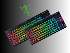 Показаны низкопрофильные клавиатуры Razer BlackWidow V4 с технологией HyperSpeed (Источник изображения: Razer PR)