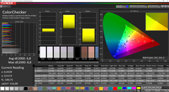 CalMAN ColorChecker (sRGB)