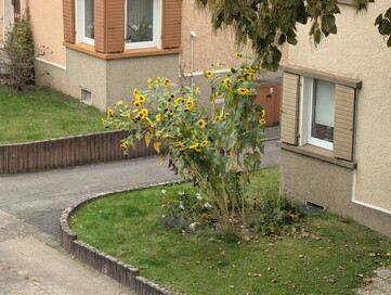 2-кратный цифровой зум