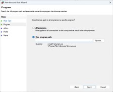 Введите путь к файлу UplayWebCore.exe