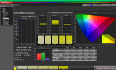 Насыщение (P3)