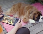 Многие геймеры по-прежнему предпочитают Steam Deck, несмотря на его более слабое аппаратное обеспечение.