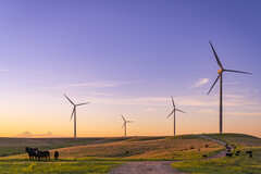 Ветряная электростанция Smokey Hills компании Enel. Справочное изображение. (Источник изображения: Enel)