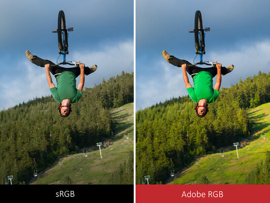 Пространство AdobeRGB включает более насыщенные оттенки, в отличие от sRGB. (Изображение: ViewSonic)