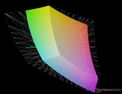 Охват Adobe RGB - 67%