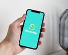 Рука держит смартфон с открытым приложением WhatsApp
