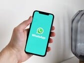Рука держит смартфон с открытым приложением WhatsApp