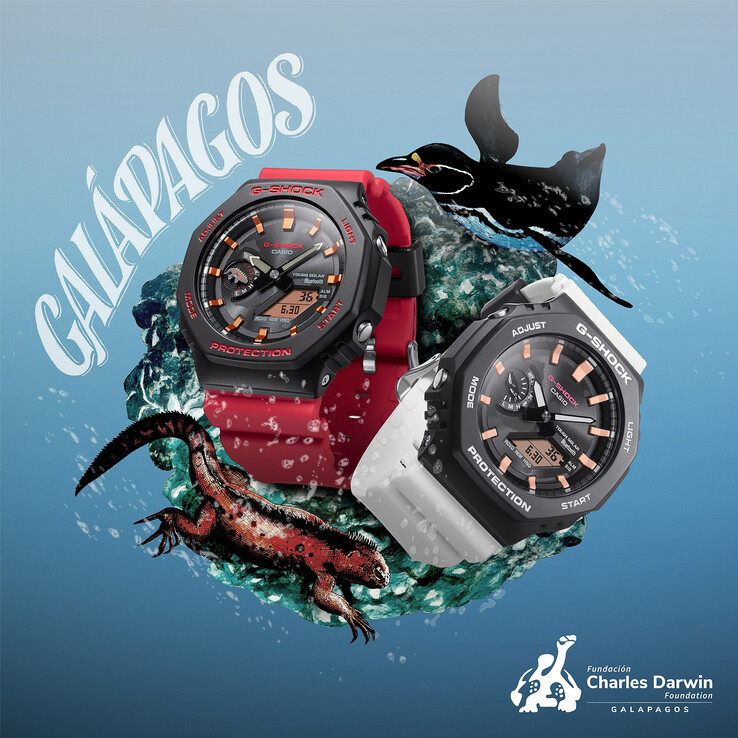 (Источник изображения: Casio)