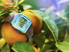 Часы Timex 80 36 мм (на фото) с расширительным ремешком из нержавеющей стали. (Источник изображения: Timex)