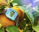 Часы Timex 80 36 мм (на фото) с расширительным ремешком из нержавеющей стали. (Источник изображения: Timex)