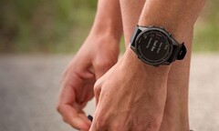 Модель Fenix 7 получила первое обновление за последнее время. (Источник изображения: Garmin)