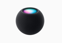 HomePod mini в цвете Midnight выглядит немного темнее, чем вариант Space Gray. (Источник изображения: Apple)