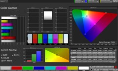 Цветовое пространство CalMAN sRGB