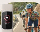 Функция Fitbit "Необычные тенденции" использует такие данные, как частота сердечных сокращений и частота дыхания. (Источник изображения: Fitbit)