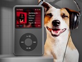 Компания Innioasis продает Apple аналог iPod Classic (Источник изображения: Innioasis)
