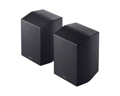 Задние динамики