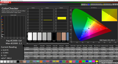 CalMAN ColorChecker (после калибровки)