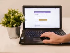 Ноутбук на столе с открытым почтовым ящиком, рядом с ним — комнатный цветок в горшке.