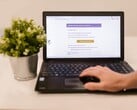 Ноутбук на столе с открытым почтовым ящиком, рядом с ним — комнатный цветок в горшке.