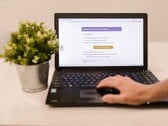 Ноутбук на столе с открытым почтовым ящиком, рядом с ним — комнатный цветок в горшке.