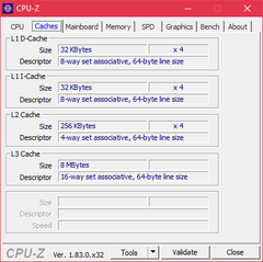 CPU-Z Cache